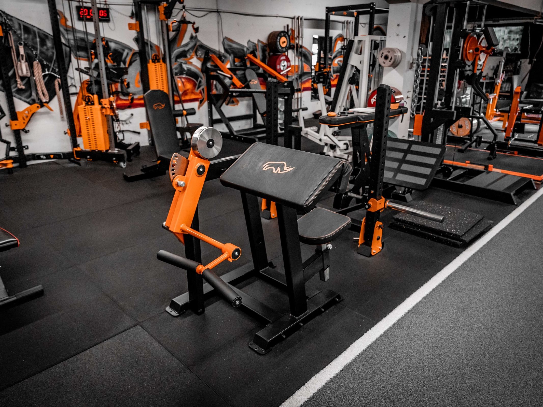 Preacher Curl